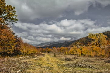 Landscape of road passing through glade with brightly colored autumn bushes and distant forested mountains borders with gray cloudy sky