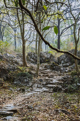 The stone path scenery in mountains