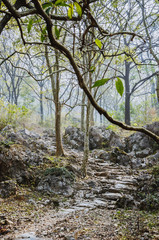 Fototapeta premium The stone path scenery in mountains