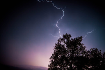 Lighting Tree