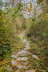 The stone path scenery in mountains
