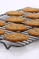Fresh baked cookies