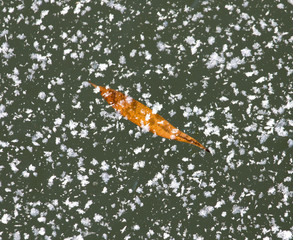 under the ice sheet