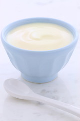 vintage plain yogurt