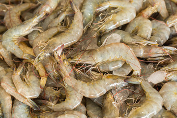 fresh raw shrimps in seafood market