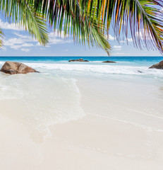 plage paradisiaque et cocotiers aux Seychelles 