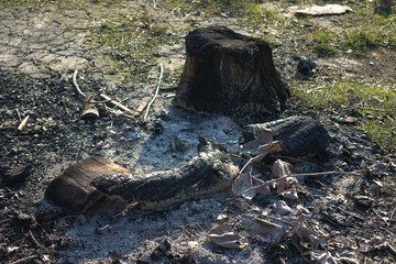 Remains of a bonfire