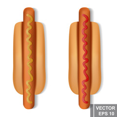 Hot Dog. Realistic. Bread and sausage. Fast food. Isolated on white background.