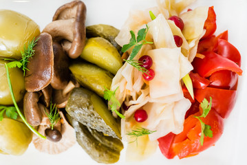 appetizer on the white plate