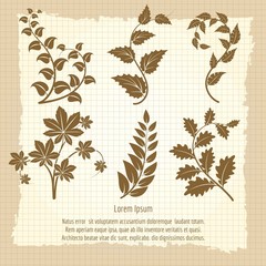 Vintage poster design with decorative branches. Vector illustration
