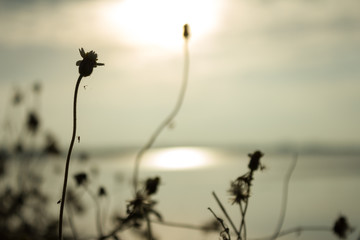 Obraz premium nature,landscape,sky