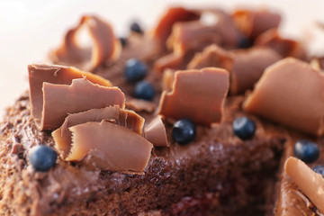 Delicious chocolate cake with blueberry, closeup