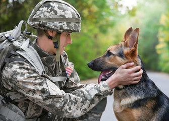 Soldier with military working dog on blurred background