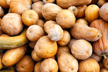 Fresh raw pumpkins as background
