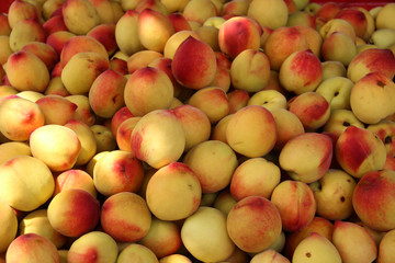 Fresh Peaches