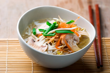 Oriental Chicken and Vegetable Soup.