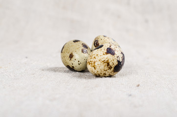 Food: group of quail eggs