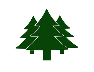 Fototapeta premium fir-tree