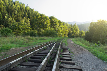 Fototapeta premium Perspective railway lines path into forest