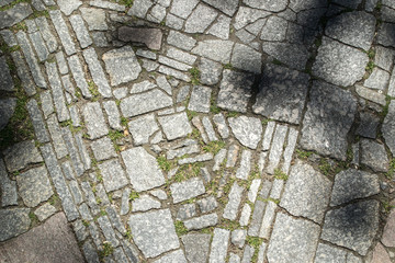 Pavement texture