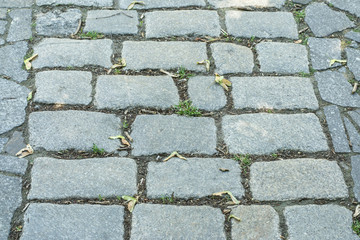 Pavement texture