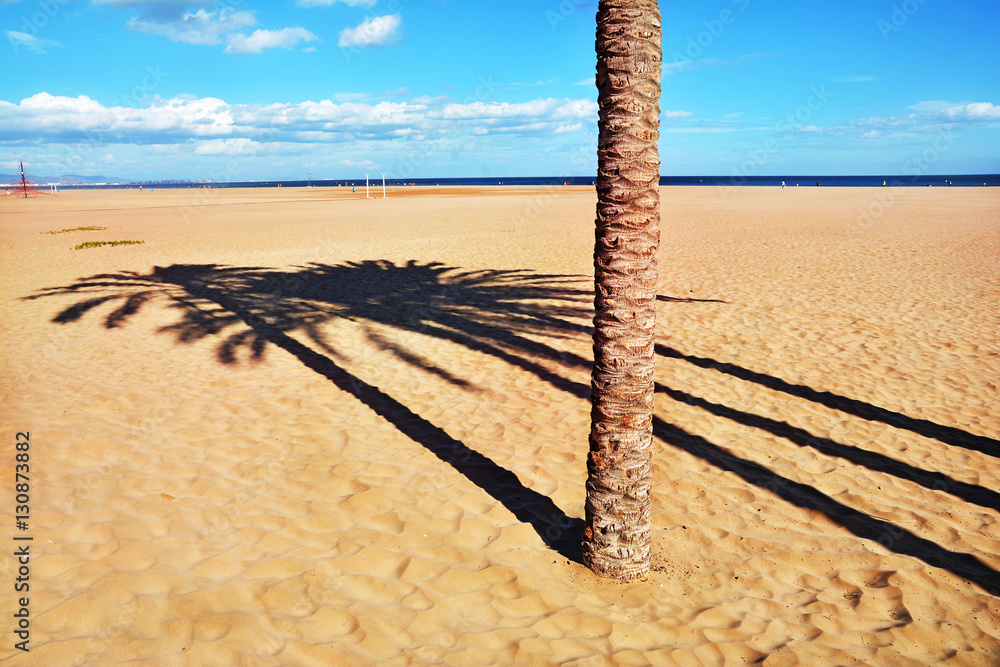 Wall mural Lights and shadows on Malvarrosa beach in Valencia