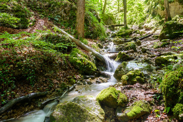 Wasserfall - Wasser - Bach in der Natur im grünen