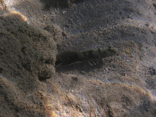underwater in Hurghada
