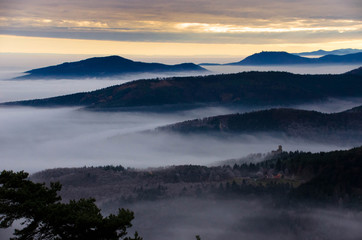Obraz premium Blick in die Vogesen