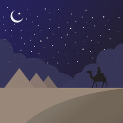 the man and his camel traveling in the desert at night, vector illustration