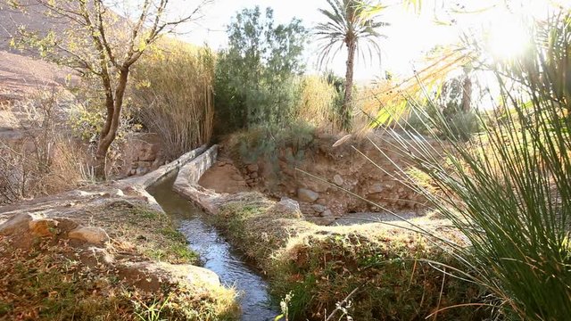 femme qui se prom&egrave;ne dans la campagne et traverse un ruisseau