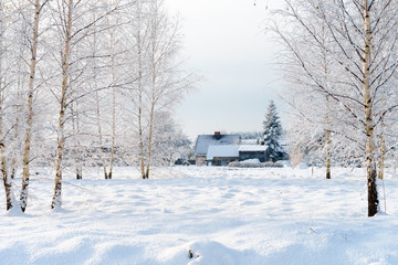 Snowy field, rustic cabin. Winter lanscape