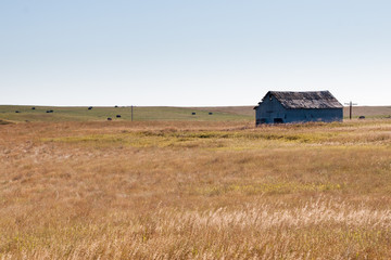 North Dakota Landscape - obrazy, fototapety, plakaty