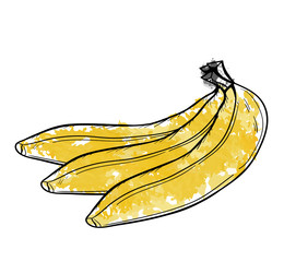 реалистичный эскиз банан на белом фоне
