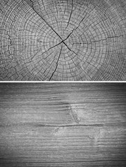 Wood texture. Lining boards wall. Wooden background. pattern. Showing growth rings. set