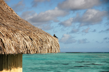 Close up of straw roof of over water bungalow with ocean background; focus on roof