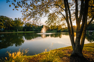 Fountain and pond at Roosevelt Wilson Park at sunset, in Davidso