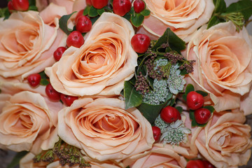 Soft Color Roses Background