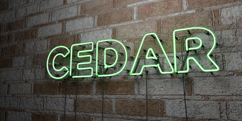 CEDAR - Glowing Neon Sign on stonework wall - 3D rendered royalty free stock illustration.  Can be used for online banner ads and direct mailers..