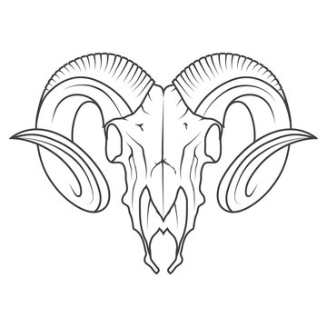 Ram Skull Drawing Images – Browse 1,185 Stock Photos, Vectors, and Video |  Adobe Stock