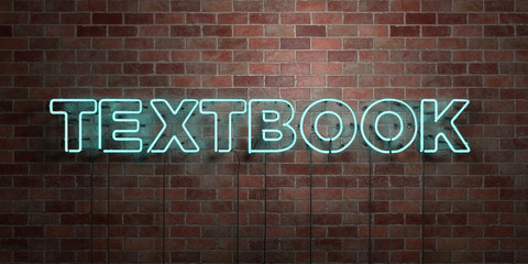 TEXTBOOK - fluorescent Neon tube Sign on brickwork - Front view - 3D rendered royalty free stock picture. Can be used for online banner ads and direct mailers..