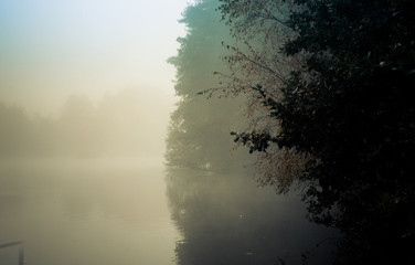 Dawn in Goldsworth Park Woking Surrey England at misty lake in d