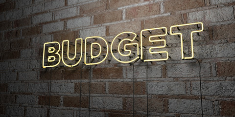 BUDGET - Glowing Neon Sign on stonework wall - 3D rendered royalty free stock illustration.  Can be used for online banner ads and direct mailers..