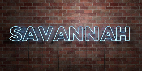 SAVANNAH - fluorescent Neon tube Sign on brickwork - Front view - 3D rendered royalty free stock picture. Can be used for online banner ads and direct mailers..