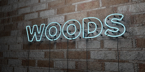 WOODS - Glowing Neon Sign on stonework wall - 3D rendered royalty free stock illustration.  Can be used for online banner ads and direct mailers..
