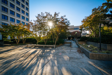 Park and buildings in downtown Winston-Salem, North Carolina.