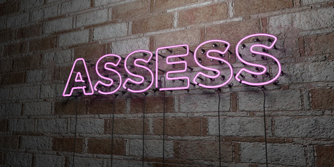 ASSESS - Glowing Neon Sign on stonework wall - 3D rendered royalty free stock illustration.  Can be used for online banner ads and direct mailers..