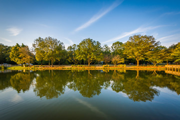 Fototapeta premium Pond at Roosevelt Wilson Park, in Davidson, North Carolina.