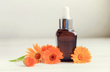 Obraz na płótnie Canvas Dropper bottle of marigold extract, fresh flowers. Herbal oil skincare benefits. Toned.