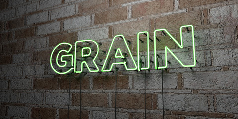 GRAIN - Glowing Neon Sign on stonework wall - 3D rendered royalty free stock illustration.  Can be used for online banner ads and direct mailers..